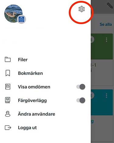 Skärmdump visar kugghjulsymbolen där inställningar görs