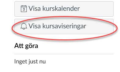 Skärmbild på knappen "Visa kursaviseringar"