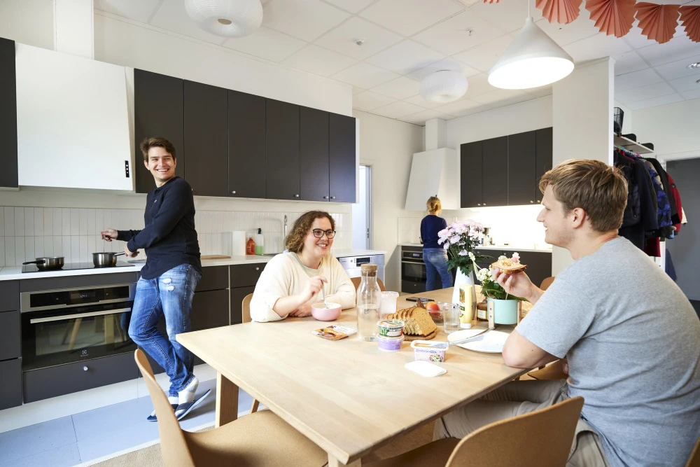 Kök i studentboende