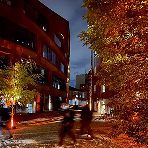 Campus lights