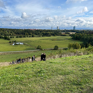 Järvafältet, 2022. Photo: Francesca Savio
